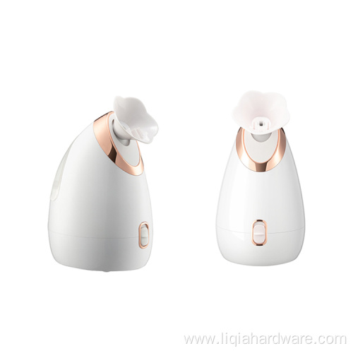 Nano Mist Spray Mini Spa Professional Face Humidifier